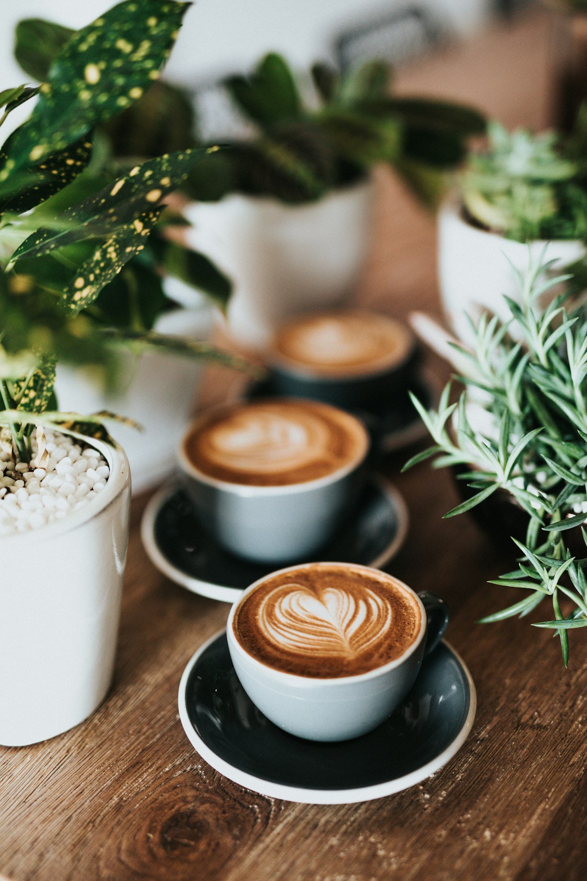 Latte art being poured at Harbor Oak